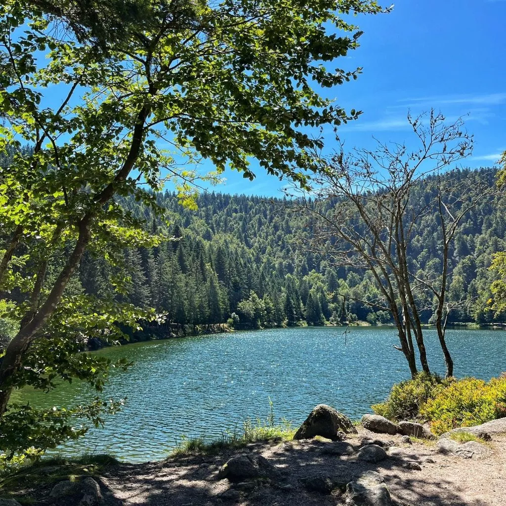 Lac des Corbeaux – Étang de Sèchemer